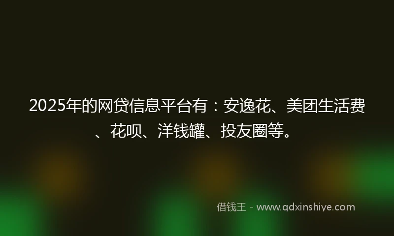 2025年的网贷信息平台有:安逸花、美团生活费、花呗、洋钱罐、投友圈等。