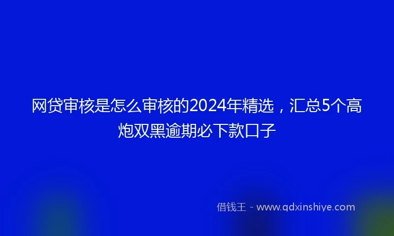 网贷审核是怎么审核的2024年精选，汇总5个高炮双黑逾期必下款口子