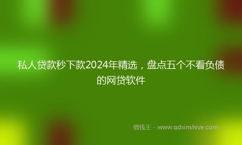 私人贷款秒下款2024年精选，盘点五个不看负债的网贷软件