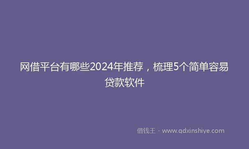 网借平台有哪些2024年推荐，梳理5个简单容易贷款软件