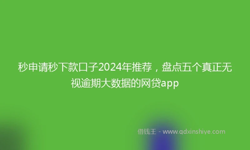 秒申请秒下款口子2024年推荐，盘点五个真正无视逾期大数据的网贷app