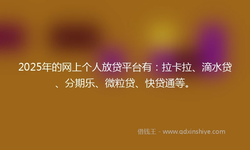 2025年的网上个人放贷平台有：拉卡拉、滴水贷、分期乐、微粒贷、快贷通等。