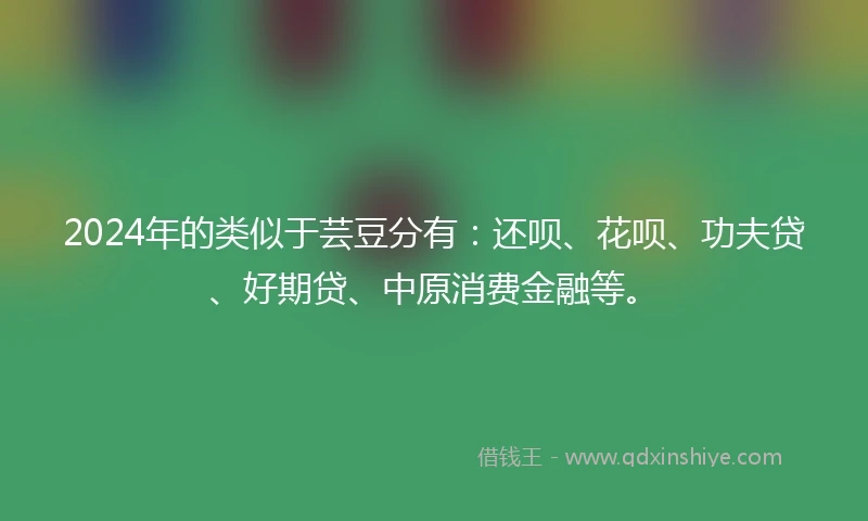 2024年的类似于芸豆分有：还呗、花呗、功夫贷、好期贷、中原消费金融等。