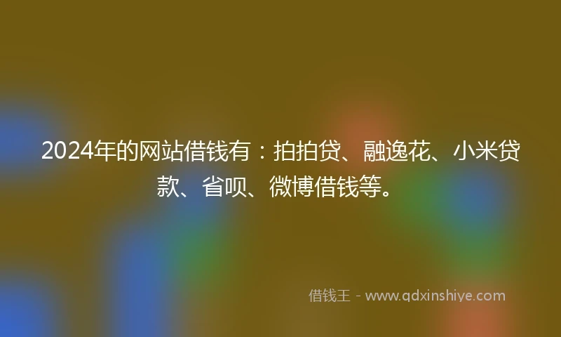 2024年的网站借钱有：拍拍贷、融逸花、小米贷款、省呗、微博借钱等。