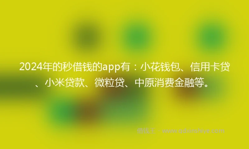 2024年的秒借钱的app有：小花钱包、信用卡贷、小米贷款、微粒贷、中原消费金融等。