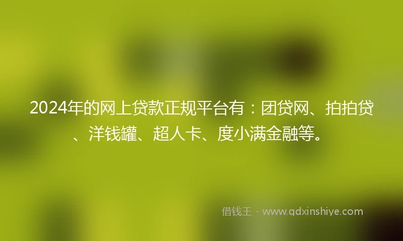 2024年的网上贷款正规平台有：团贷网、拍拍贷、洋钱罐、超人卡、度小满金融等。