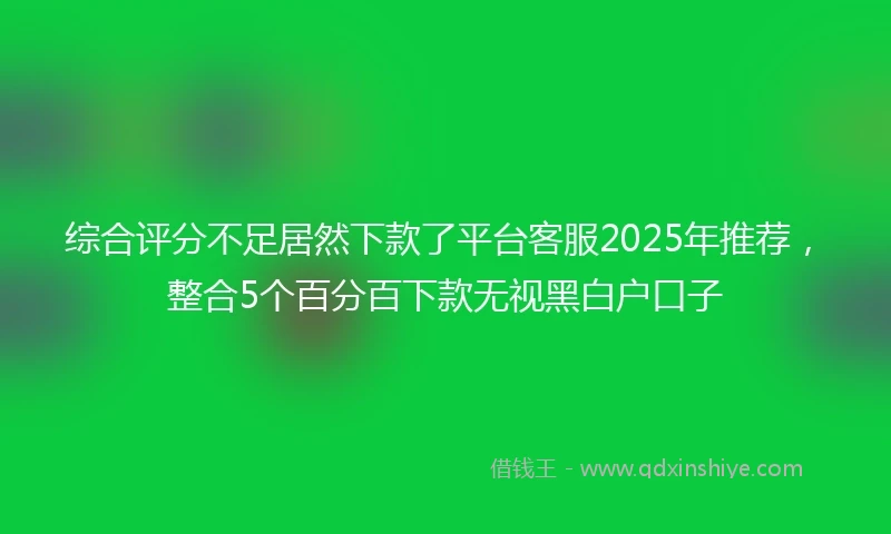 综合评分不足居然下款了平台客服2025年推荐，整合5个百分百下款无视黑白户口子
