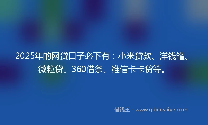 2025年的网贷口子必下有：小米贷款、洋钱罐、微粒贷、360借条、维信卡卡贷等。
