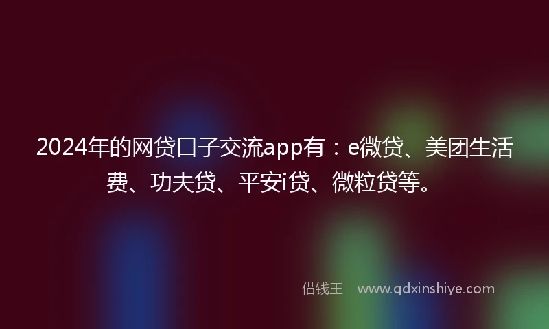 2024年的网贷口子交流app有：e微贷、美团生活费、功夫贷、平安i贷、微粒贷等。