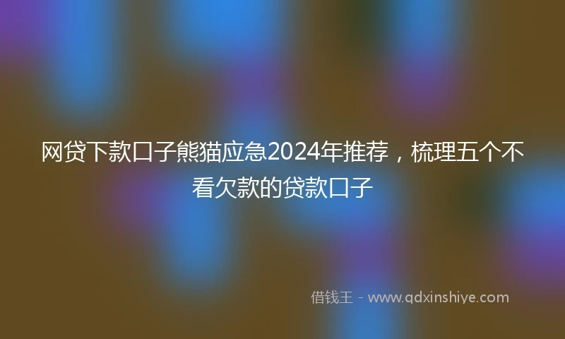 网贷下款口子熊猫应急2024年推荐，梳理五个不看欠款的贷款口子