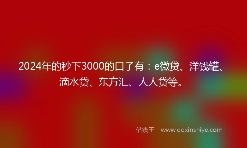 2024年的秒下3000的口子有：e微贷、洋钱罐、滴水贷、东方汇、人人贷等。