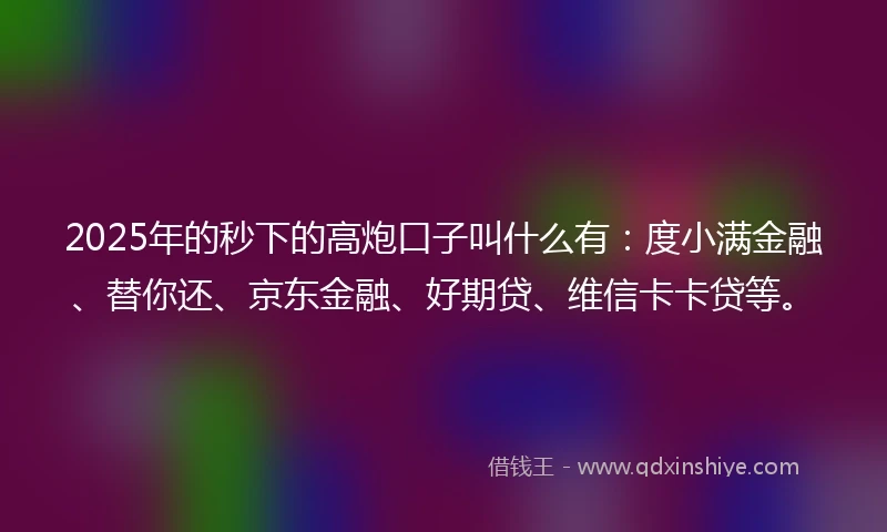 2025年的秒下的高炮口子叫什么有：度小满金融、替你还、京东金融、好期贷、维信卡卡贷等。