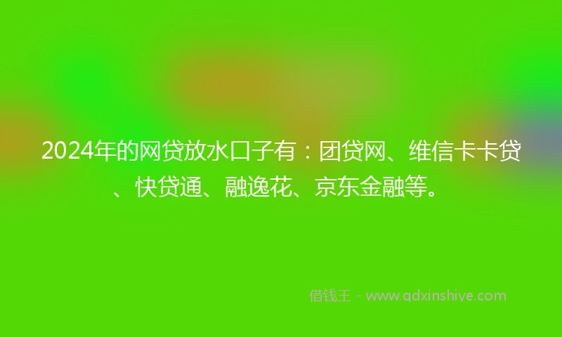 2024年的网贷放水口子有：团贷网、维信卡卡贷、快贷通、融逸花、京东金融等。