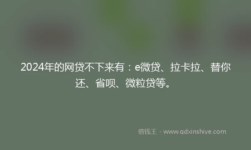 2024年的网贷不下来有：e微贷、拉卡拉、替你还、省呗、微粒贷等。