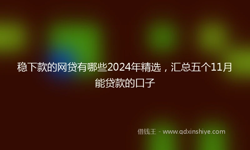 稳下款的网贷有哪些2024年精选，汇总五个11月能贷款的口子