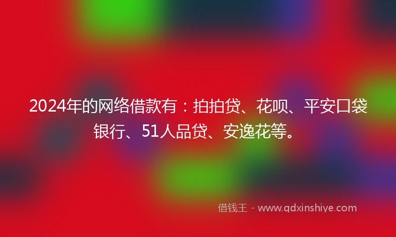 2024年的网络借款有：拍拍贷、花呗、平安口袋银行、51人品贷、安逸花等。