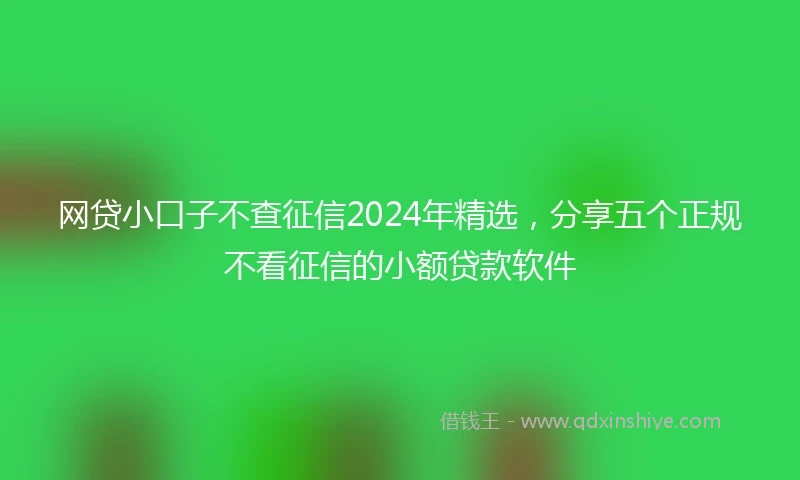 网贷小口子不查征信2024年精选，分享五个正规不看征信的小额贷款软件