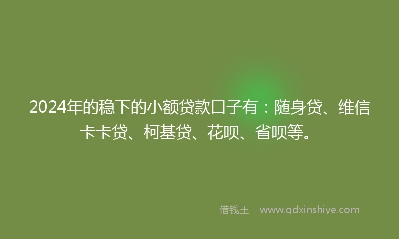 2024年的稳下的小额贷款口子有：随身贷、维信卡卡贷、柯基贷、花呗、省呗等。