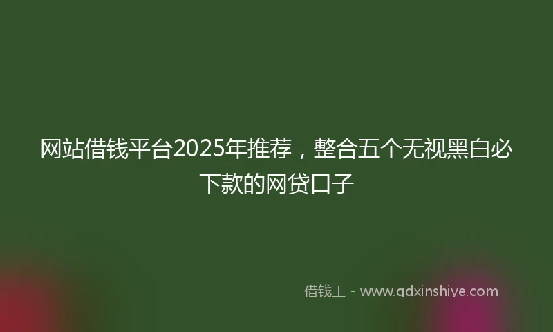 网站借钱平台2025年推荐，整合五个无视黑白必下款的网贷口子