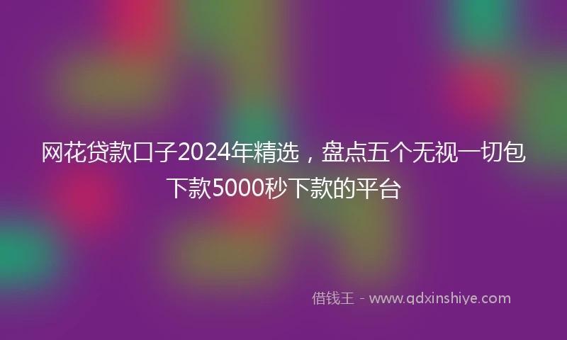 网花贷款口子2024年精选，盘点五个无视一切包下款5000秒下款的平台