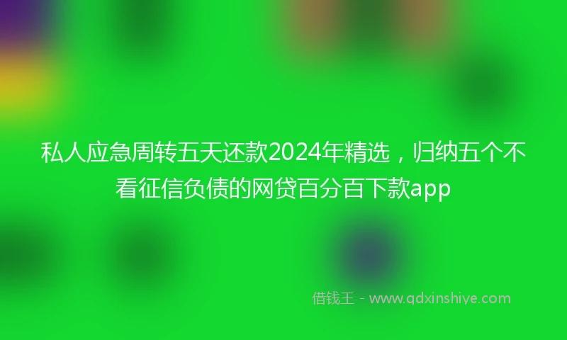 私人应急周转五天还款2024年精选，归纳五个不看征信负债的网贷百分百下款app