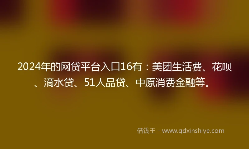 2024年的网贷平台入口16有：美团生活费、花呗、滴水贷、51人品贷、中原消费金融等。