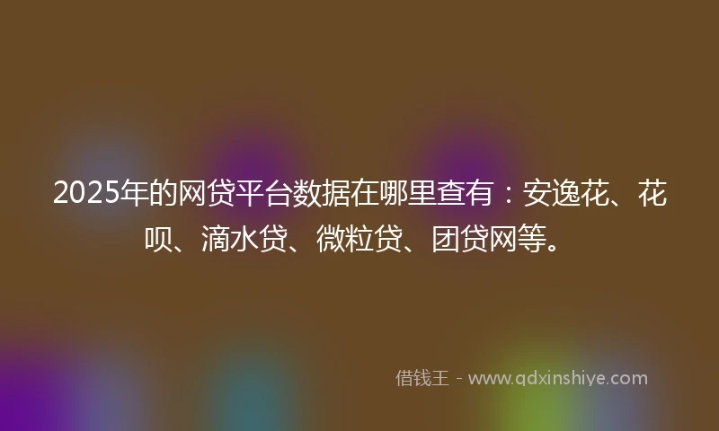 2025年的网贷平台数据在哪里查有：安逸花、花呗、滴水贷、微粒贷、团贷网等。