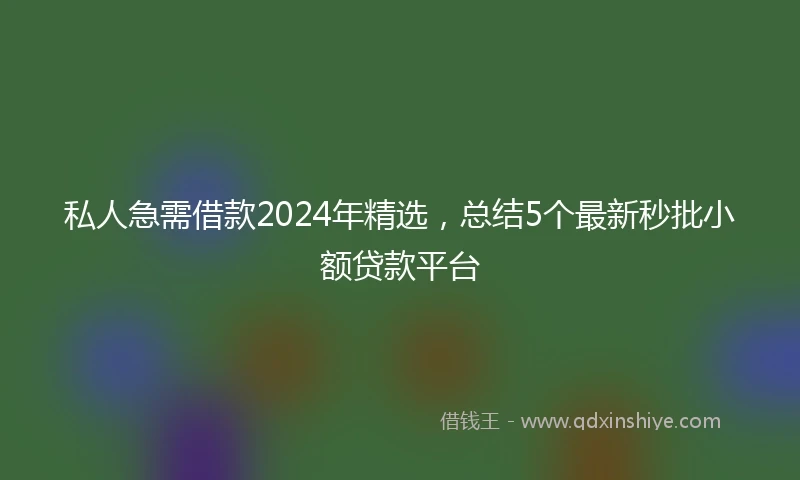 私人急需借款2024年精选，总结5个最新秒批小额贷款平台