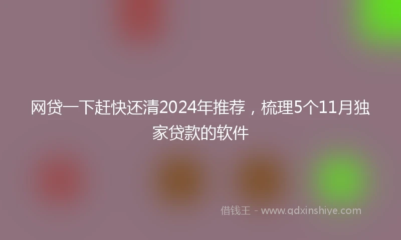 网贷一下赶快还清2024年推荐，梳理5个11月独家贷款的软件