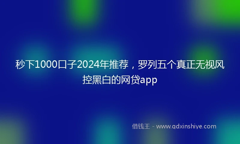 秒下1000口子2024年推荐，罗列五个真正无视风控黑白的网贷app