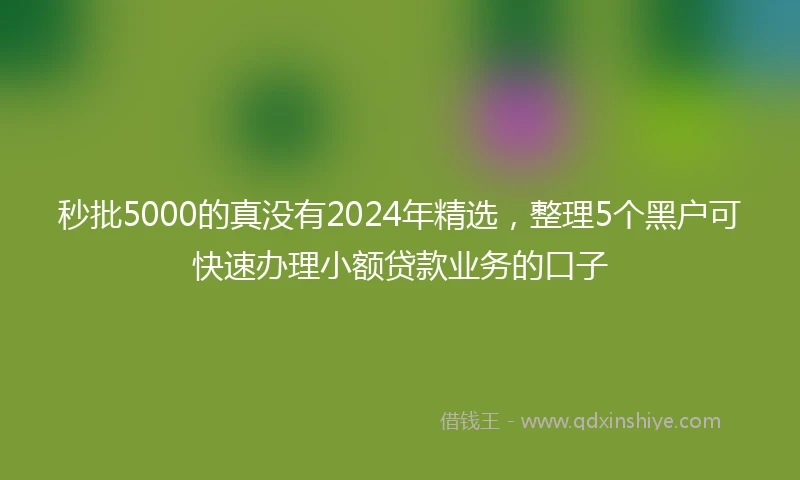 秒批5000的真没有2024年精选，整理5个黑户可快速办理小额贷款业务的口子