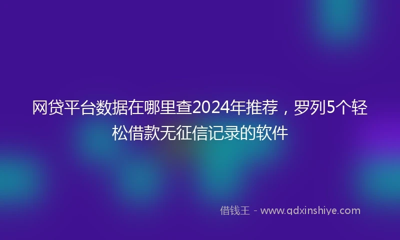 网贷平台数据在哪里查2024年推荐，罗列5个轻松借款无征信记录的软件