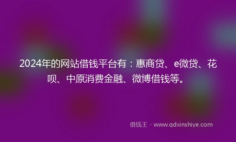 2024年的网站借钱平台有：惠商贷、e微贷、花呗、中原消费金融、微博借钱等。