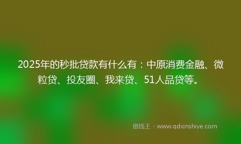 2025年的秒批贷款有什么有：中原消费金融、微粒贷、投友圈、我来贷、51人品贷等。