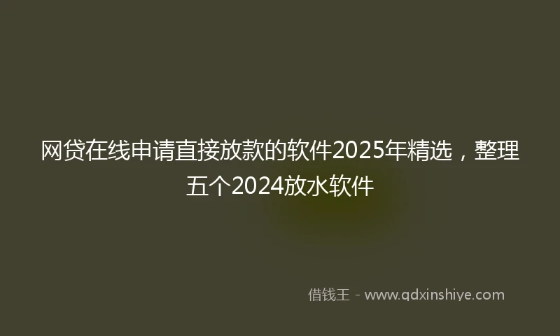 网贷在线申请直接放款的软件2025年精选，整理五个2024放水软件