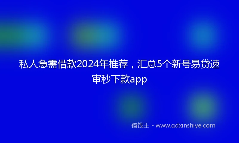 私人急需借款2024年推荐，汇总5个新号易贷速审秒下款app