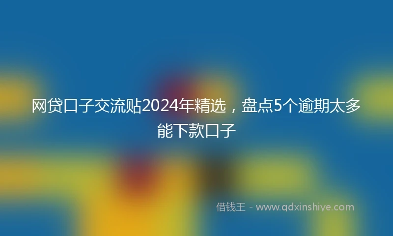 网贷口子交流贴2024年精选，盘点5个逾期太多能下款口子