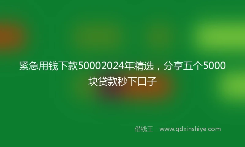 紧急用钱下款50002024年精选，分享五个5000块贷款秒下口子