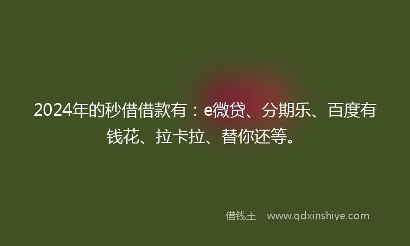 2024年的秒借借款有：e微贷、分期乐、百度有钱花、拉卡拉、替你还等。