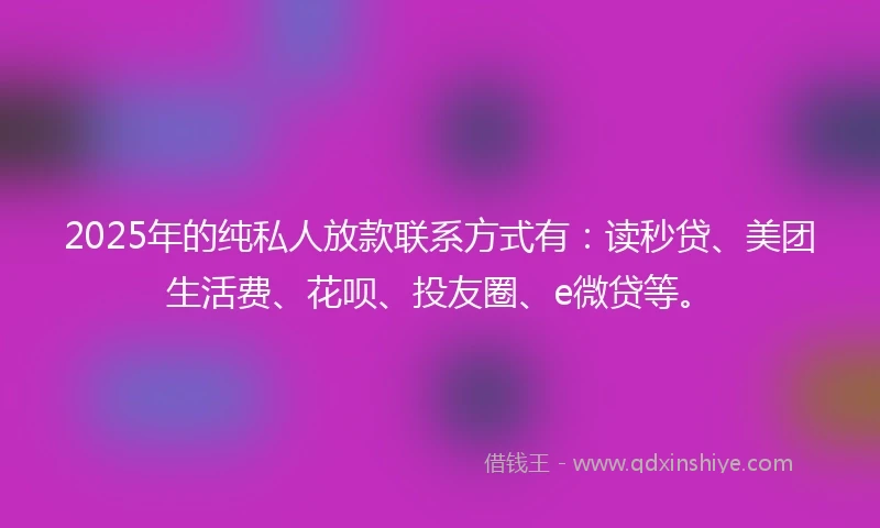 2025年的纯私人放款联系方式有：读秒贷、美团生活费、花呗、投友圈、e微贷等。