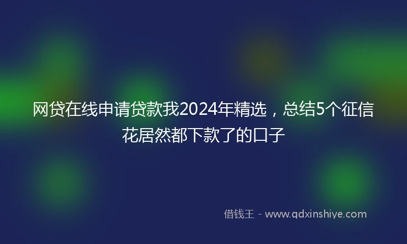 网贷在线申请贷款我2024年精选，总结5个征信花居然都下款了的口子