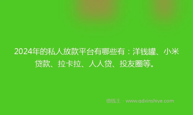 2024年的私人放款平台有哪些有：洋钱罐、小米贷款、拉卡拉、人人贷、投友圈等。