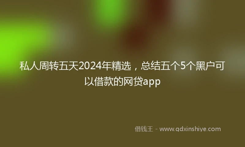 私人周转五天2024年精选，总结五个5个黑户可以借款的网贷app