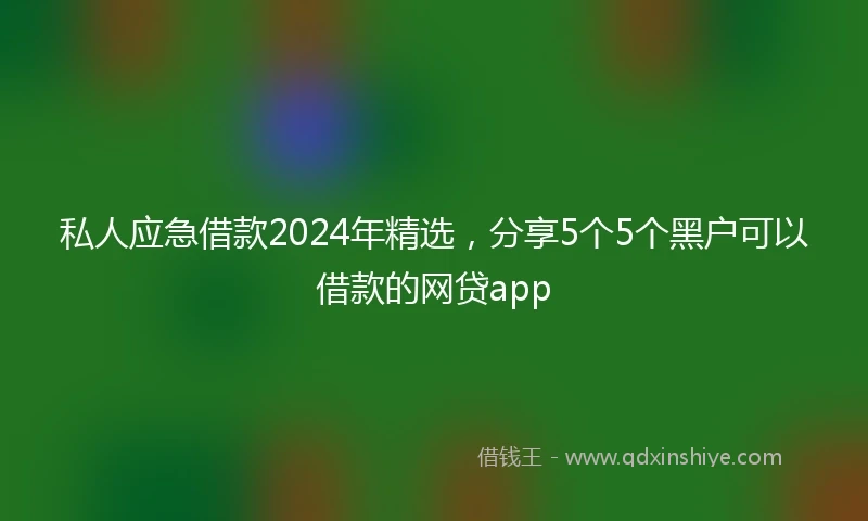 私人应急借款2024年精选，分享5个5个黑户可以借款的网贷app
