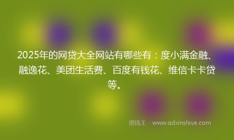 2025年的网贷大全网站有哪些有：度小满金融、融逸花、美团生活费、百度有钱花、维信卡卡贷等。
