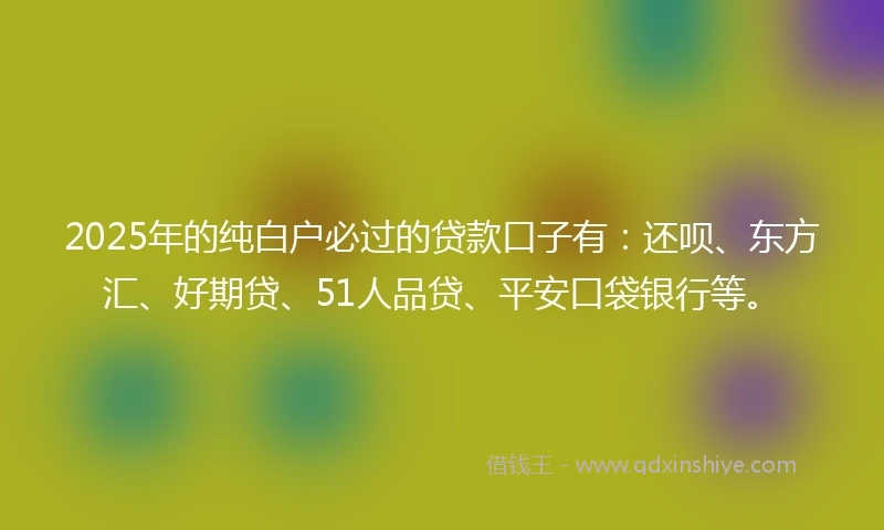 2025年的纯白户必过的贷款口子有：还呗、东方汇、好期贷、51人品贷、平安口袋银行等。
