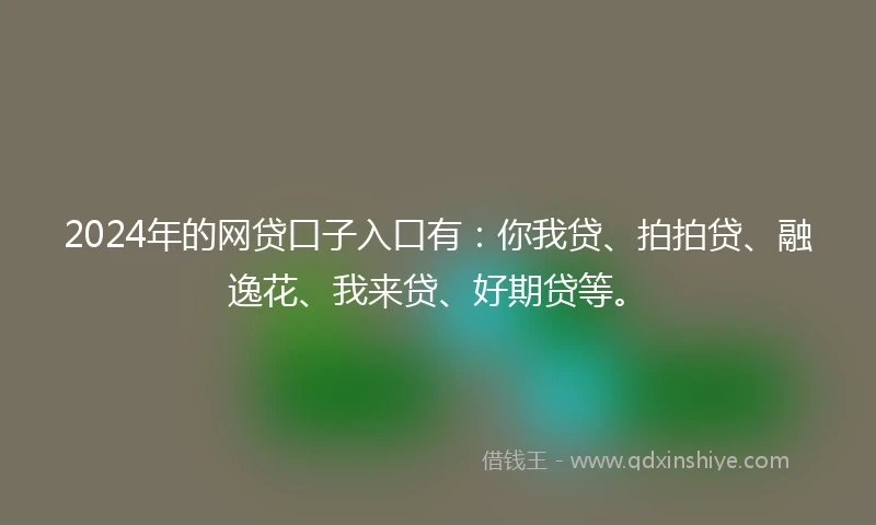 2024年的网贷口子入口有：你我贷、拍拍贷、融逸花、我来贷、好期贷等。