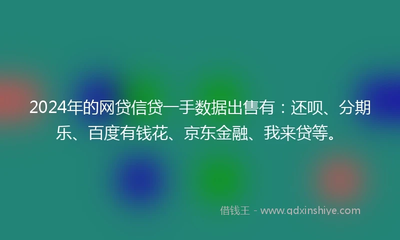 2024年的网贷信贷一手数据出售有：还呗、分期乐、百度有钱花、京东金融、我来贷等。