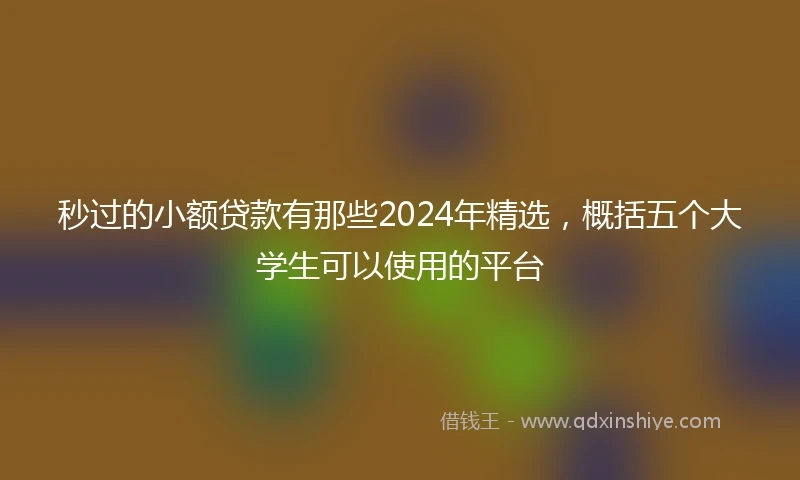 秒过的小额贷款有那些2024年精选，概括五个大学生可以使用的平台
