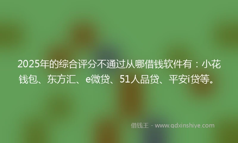 2025年的综合评分不通过从哪借钱软件有：小花钱包、东方汇、e微贷、51人品贷、平安i贷等。